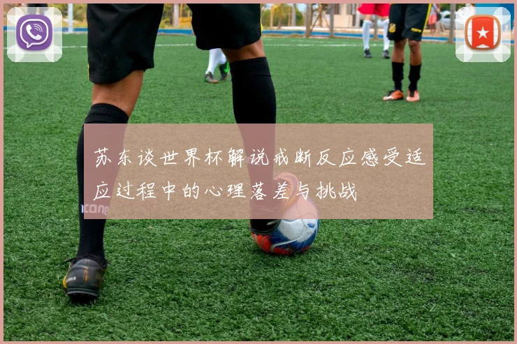 苏东谈世界杯解说戒断反应感受适应过程中的心理落差与挑战